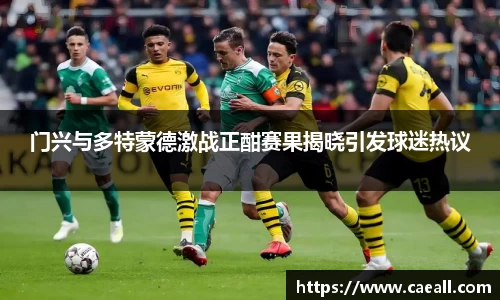 门兴与多特蒙德激战正酣赛果揭晓引发球迷热议